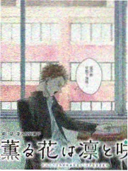 轻综艺题材图鉴